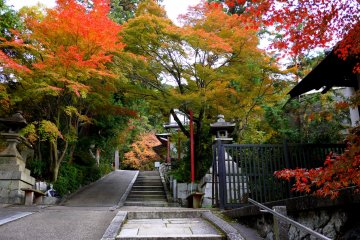 <p>Steps lead up the slope</p>