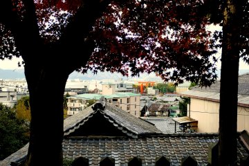 <p>You can see the big red torii of Heian Jingu Shrine from here</p>