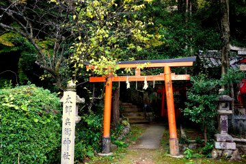 <p>A glimpse of steps through a small torii</p>