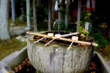 <p>Large rounded water basin</p>