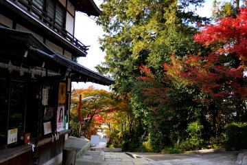 <p>Looking along the path down to the entrance</p>