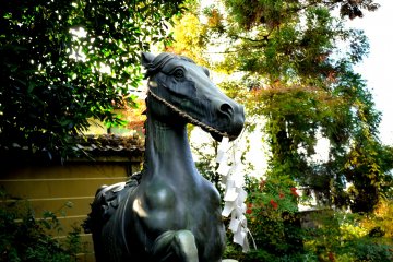<p>From this angle, the horse seems to be about to leap forward</p>