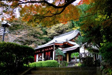 Autumn color at Sonsho-in