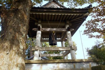 <p>Thick tree and belfry</p>