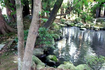<p>The pond, surrounded by greenery</p>