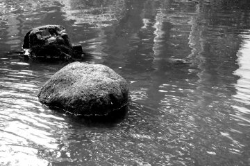 <p>There was a small pond at the end of the path</p>