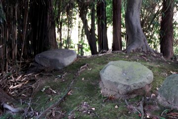 <p>A secret path led me to the back of the main hall</p>