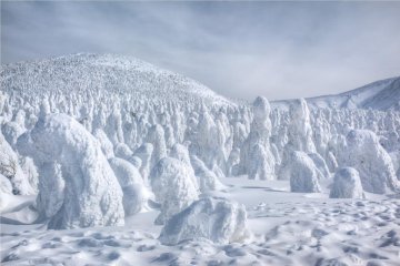Snow monsters are coming!