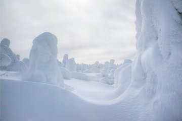 Snow monsters having a secret language.