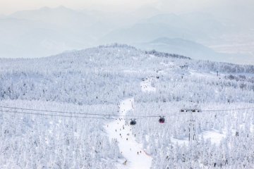 Skiing is fun even with monsters.