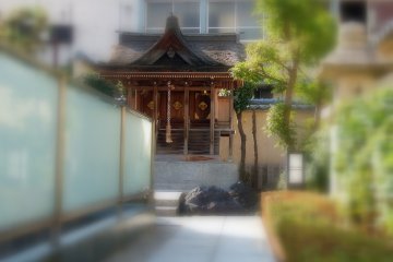 <p>Looking at Three Sisters Shrine from Fox Shrine</p>