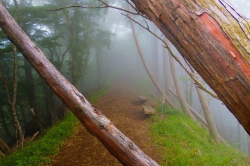 Yabitsu-Pass to Mount Oyama 
