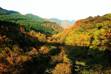 <p>The view from East Great Daisen Bridge</p>