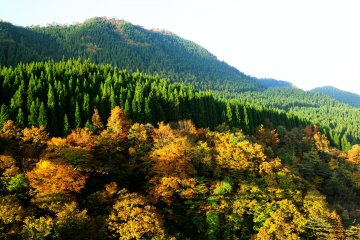 <p>You may get dizzy from the height of the bridge but the view from here deserves a little battle with dizziness and fear of heights</p>