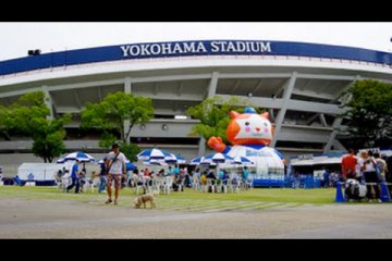 Yokohama Stadium Before a Game