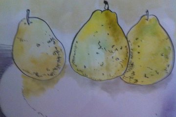 Still Life Watercolors