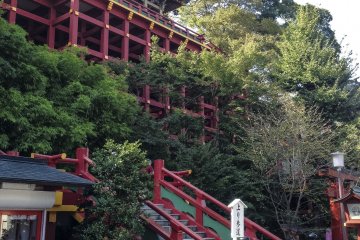 The striking vermilion colors against the green backdrop is a very powerful and beautiful sight.&nbsp;