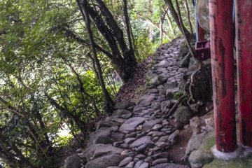 As you travel along the path, don't get so swept up in the beauty and antiquity that you lose stability. This photo is an example of how narrow the pathway can get. At this point, there is no railing to support you if you fall, so take care!