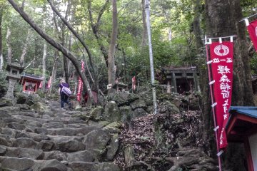 You will notice a very distinct contrast in terrain. For the lower half of the shrine, you will navigate even steps equipped with hand-rails, but as evident in this picture, the topography changes into very sharp steps and rarely any support. It's a lot of fun, but please be careful at this point.