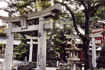 Clusters of torii&nbsp;can be found almost everywhere you look.