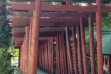 This is not your average hike up a hill. These successions of torii and the many smaller shrines and statues that show up during your trek convey a sacred and historic atmosphere.