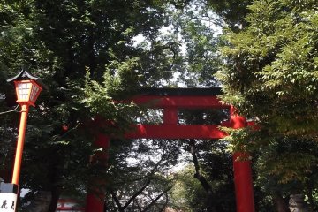 The main gate