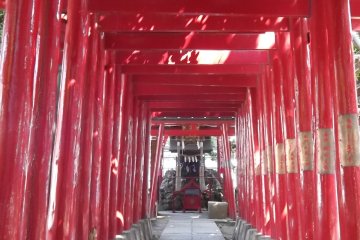 A corridor of torii gates lead to a side shrine