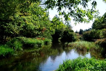 Walk Around Kumoba Pond, Karuizawa