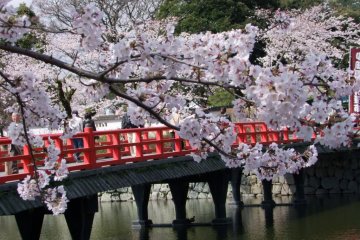 The pink and red combination is lovely.