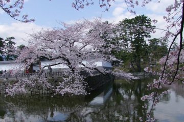 The moat area of the castle in spring.