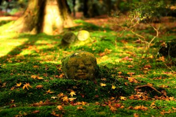 Autumn Colors of Ohara Sanzen-in: 2