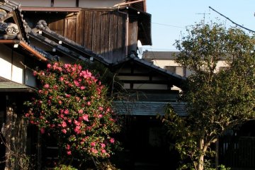 Traditional wooden houses on the way