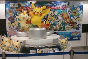 <p>Pikachu, ma&icirc;tre des lieux</p>