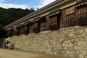 Walls with the castle above