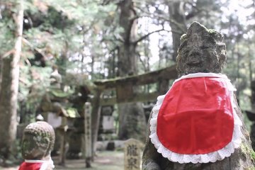 Ekoin: A Journey through Koyasan
