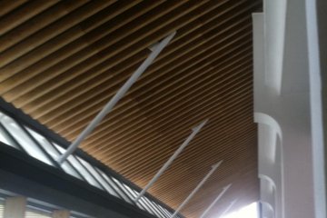 Cathedral like ceilings