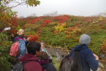 Mt. Kurikoma