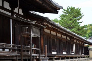 Wooden building of a dark-brownish color was silent