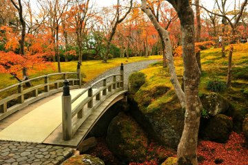 Autumn at Hakone Museum of Art - 1