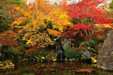 Autumn at Hakone Museum of Art - 2
