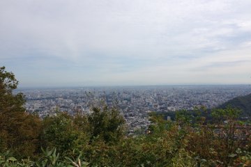 Sapporo's city center from the mountaintop &nbsp;