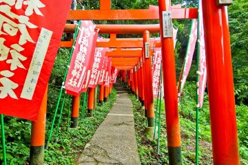Sasuke Inari Shrine