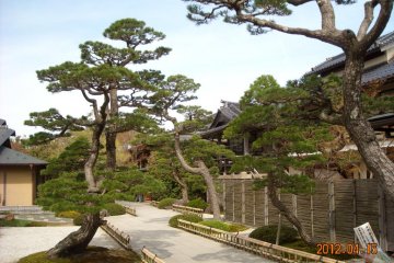 Japanese garden entrance