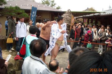 Sumo fighter Okinoumi at Yuushien Japanese Garden