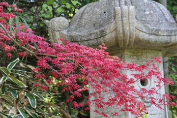 <p>You will easily pass a whole day wandering the temple and gardens!</p>