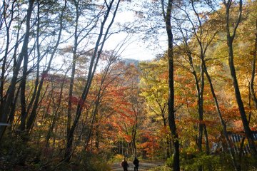 An Amazing Autumn Awaits in Akiu