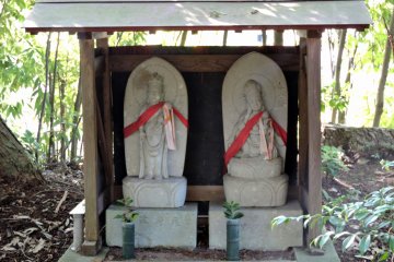 <p>Number seventeen and eighteen have their own shelter!</p>