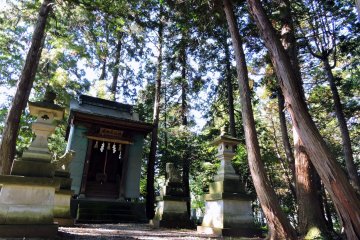 <p>Hakusan Shrine standing silently in deep woods</p>