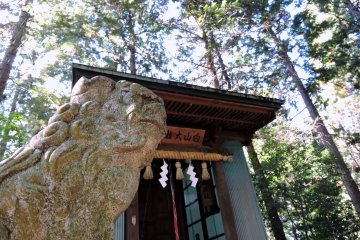 <p>Small Hakusan Shrine and a guardian dog in the wooded Taicho-ji Temple grounds</p>