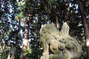 <p>Two guardian dogs standing watch in the deep forest</p>